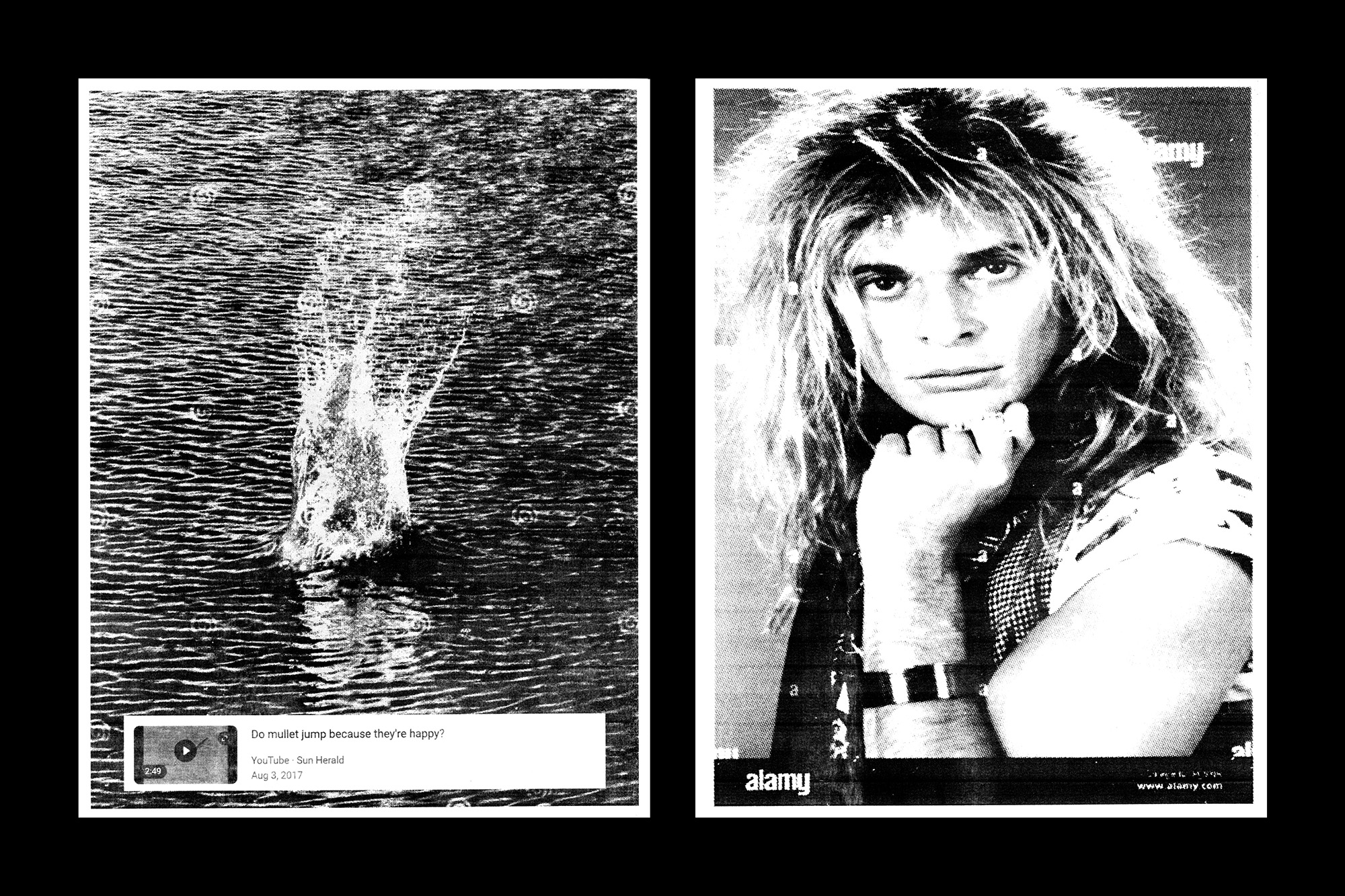 Mullet Jump!